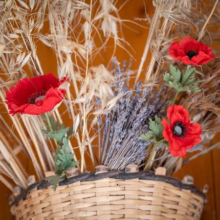 Plein Soleil A 10 By Interhome