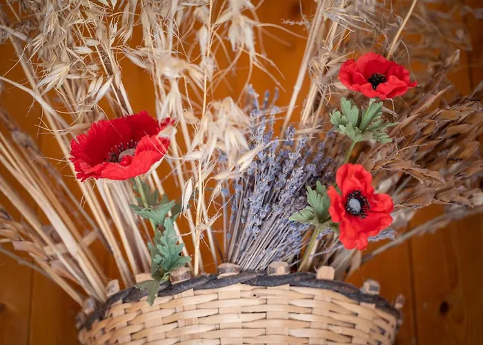 Plein Soleil A 10 By Interhome